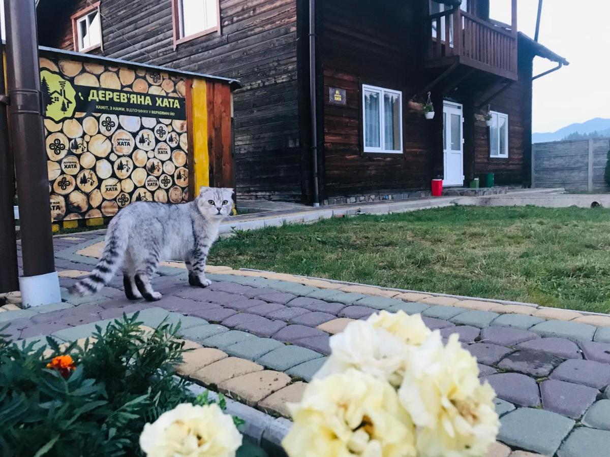 Садиба Дерев*Яна Хата Verkhovyna Exterior photo